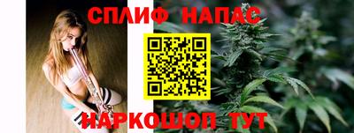 гидра Дубна