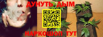 a pvp Донецк