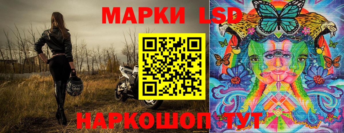 Курчалой  Марки 25I-NBOMe 1,5мг  Вход с VPN 
